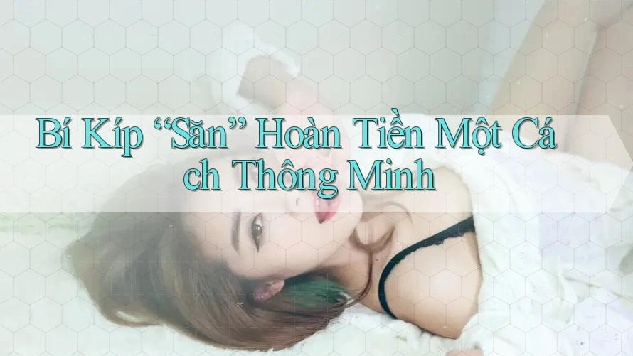 Bí Kíp “Săn” Hoàn Tiền Một Cách Thông Minh