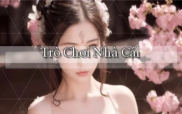 Trò chơi Nhà cái