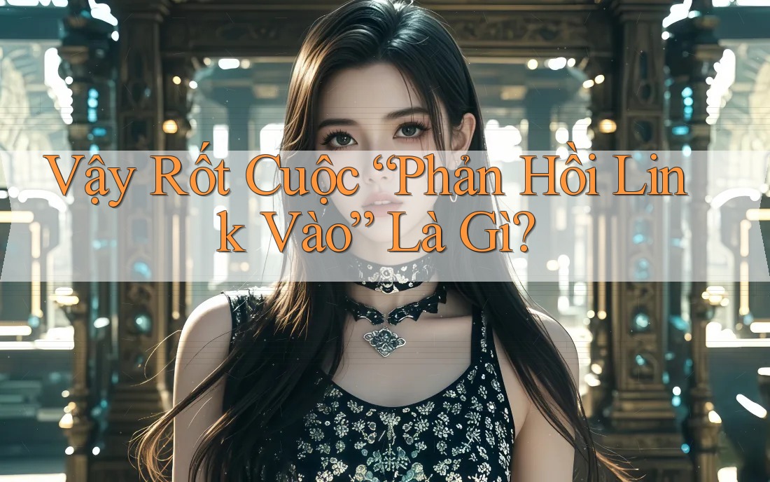 Vậy Rốt Cuộc “Phản Hồi Link Vào” Là Gì? Vậy Rốt Cuộc “Phản Hồi Link Vào” Là Gì?
