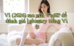 Vì (2026) sao nên Vn68 để đánh giá glossary tiếng Việt