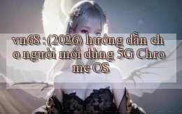 vn68 (2026) hướng dẫn cho người mới dùng 5G Chrome OS
