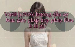 Vn68 (2026) hướng dẫn cơ bản giấy phép hợp pháp flush là gì